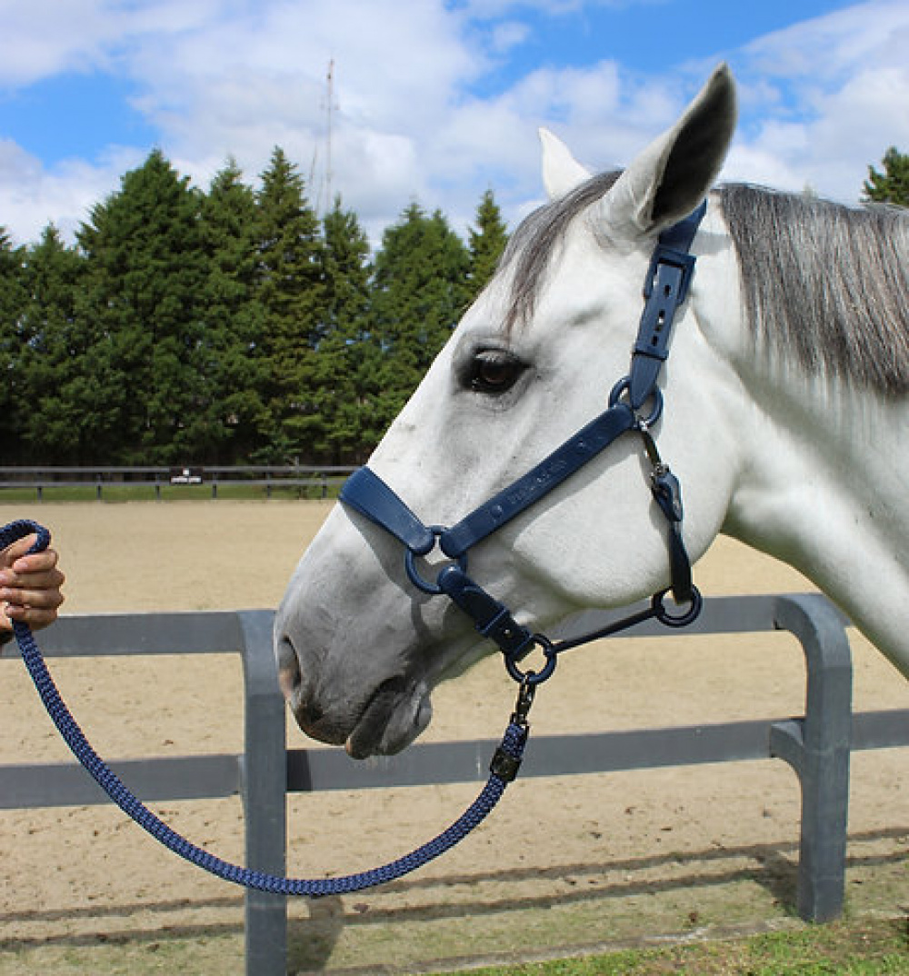 Corda De Guia Cavalo Com Mosquetao