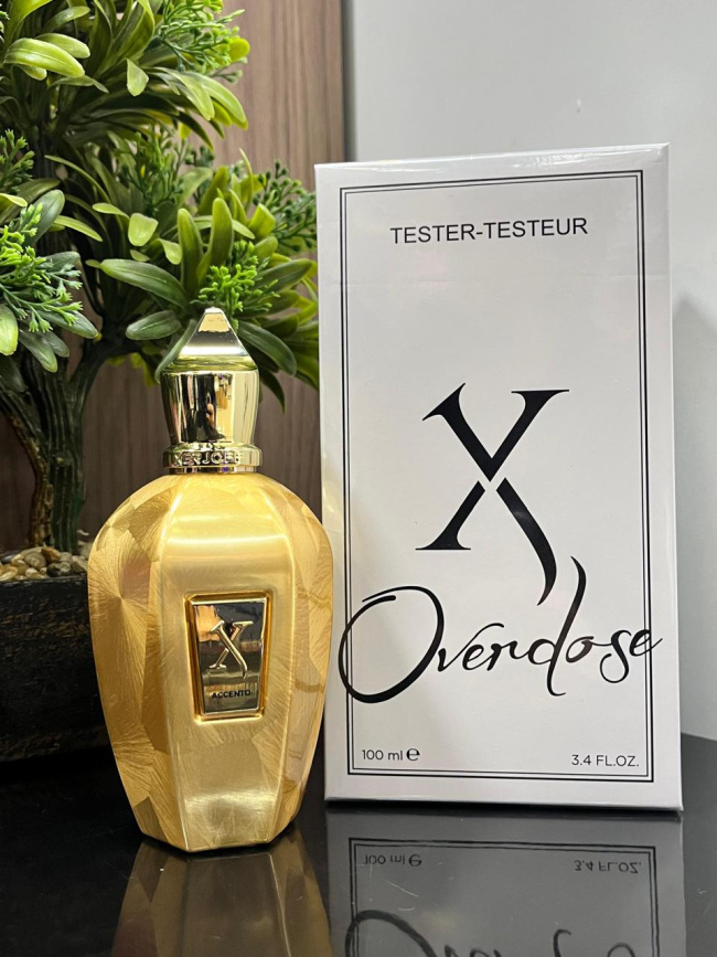 Xerjoff - Overdose Ascent 100ML — perfume de nicho Âmbar/Oriental original e importado na Elite Perfumes Brasil
