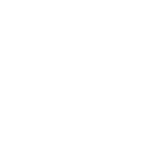 Moacir Alves Pereira Junior